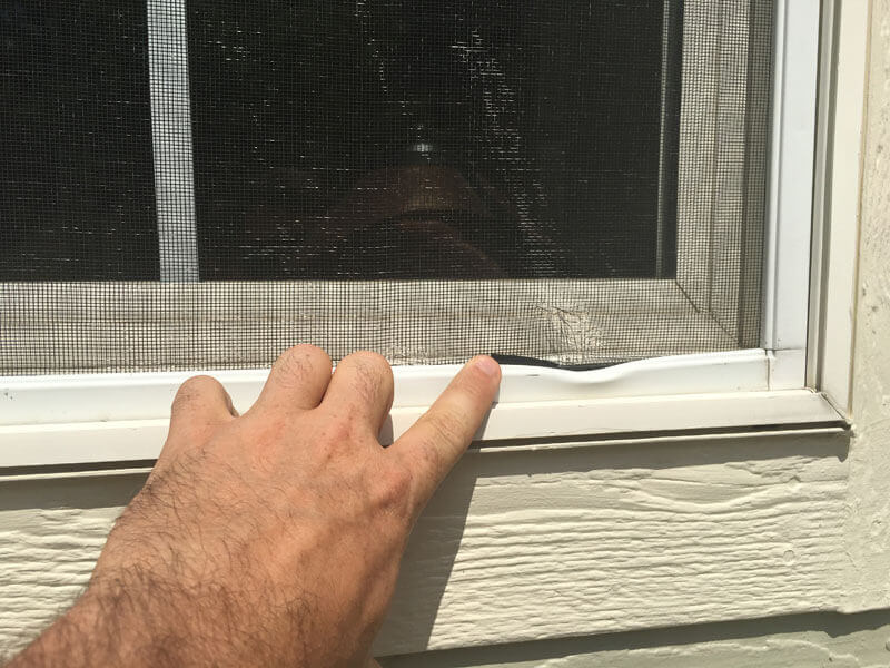 Hail Damaged Window